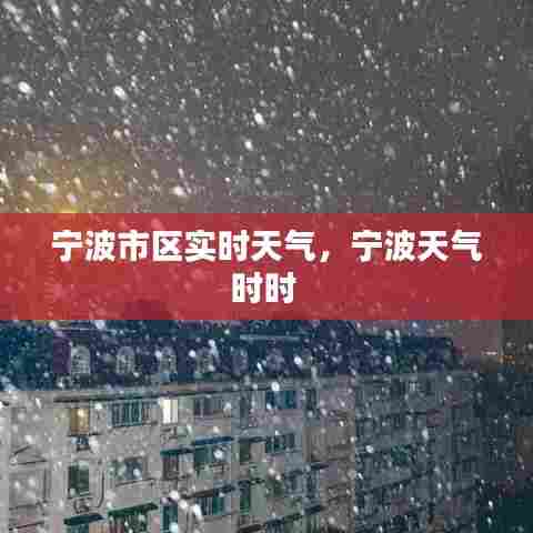宁波市区实时天气,宁波天气时时