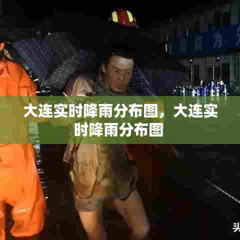 大连实时降雨分布图,大连实时降雨分布图