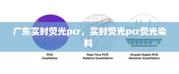 广东实时荧光pcr，实时荧光pcr荧光染料 