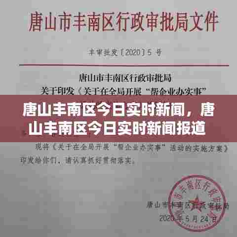 唐山丰南区今日实时新闻，唐山丰南区今日实时新闻报道 