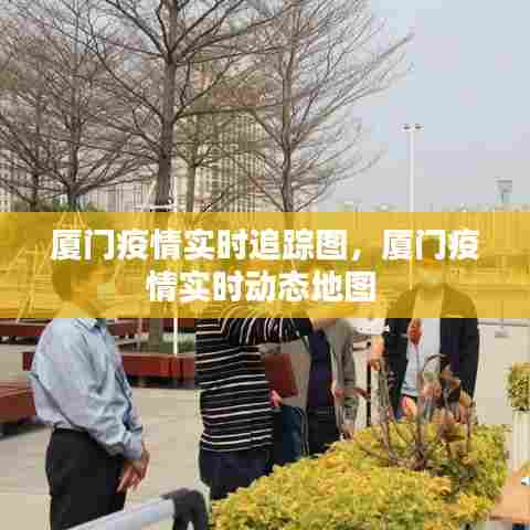 厦门疫情实时追踪图，厦门疫情实时动态地图 