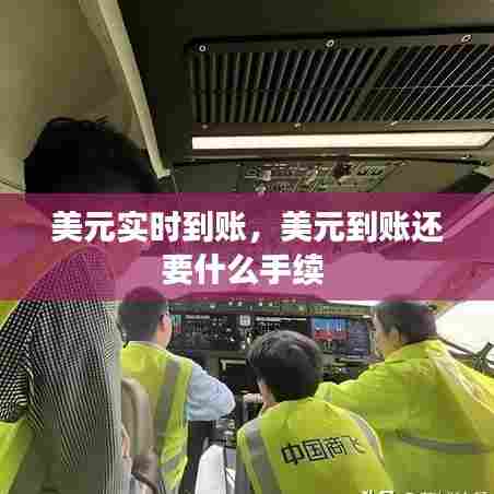 美元实时到账，美元到账还要什么手续 