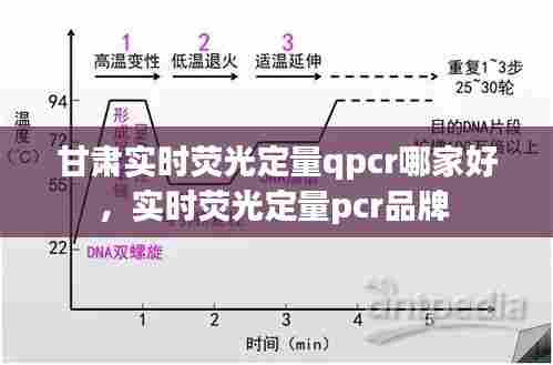 甘肃实时荧光定量qpcr哪家好，实时荧光定量pcr品牌 