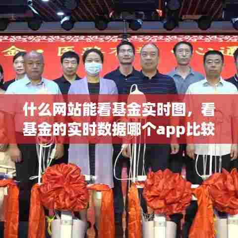 什么网站能看基金实时图，看基金的实时数据哪个app比较好 