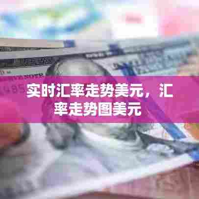 实时汇率走势美元，汇率走势图美元 
