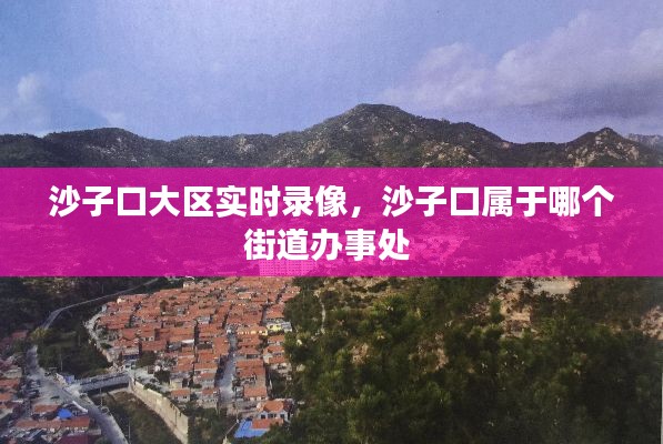 沙子口大区实时录像，沙子口属于哪个街道办事处 