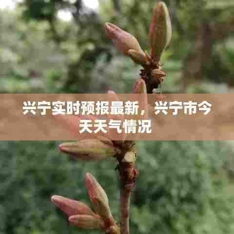 兴宁实时预报最新，兴宁市今天天气情况 