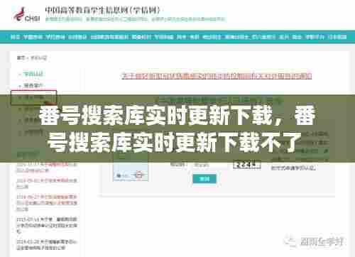 番号搜索库实时更新下载，番号搜索库实时更新下载不了 