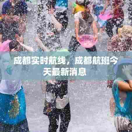 成都实时航线,成都航班今天最新消息