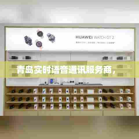 青岛实时语音通讯服务商， 