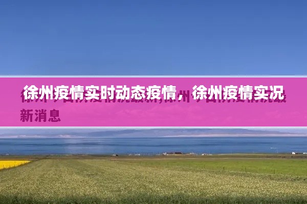 徐州疫情实时动态疫情,徐州疫情实况