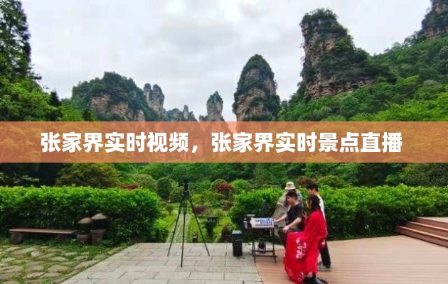 张家界实时视频，张家界实时景点直播 
