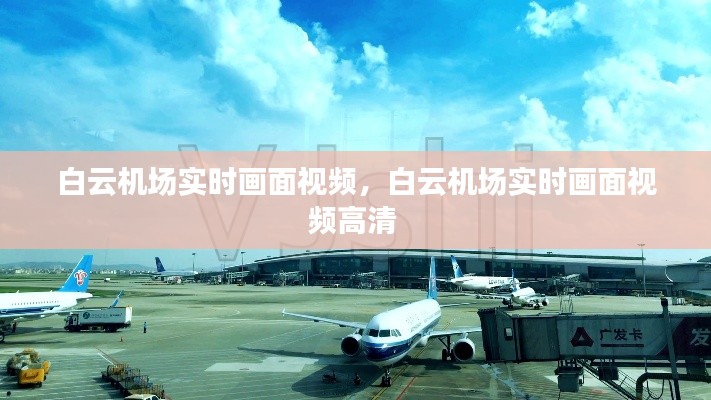 白云机场实时画面视频，白云机场实时画面视频高清 
