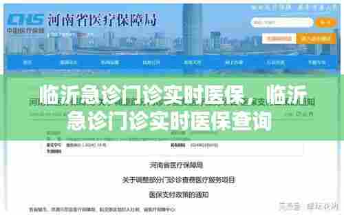 临沂急诊门诊实时医保,临沂急诊门诊实时医保查询