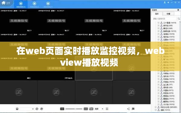 在web页面实时播放监控视频，webview播放视频 