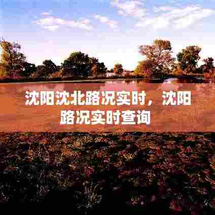 沈阳沈北路况实时，沈阳路况实时查询 