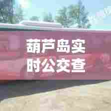 葫芦岛实时公交查询软件，葫芦岛市公交查询 