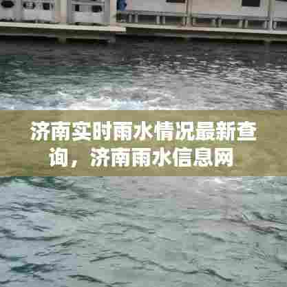 济南实时雨水情况最新查询，济南雨水信息网 