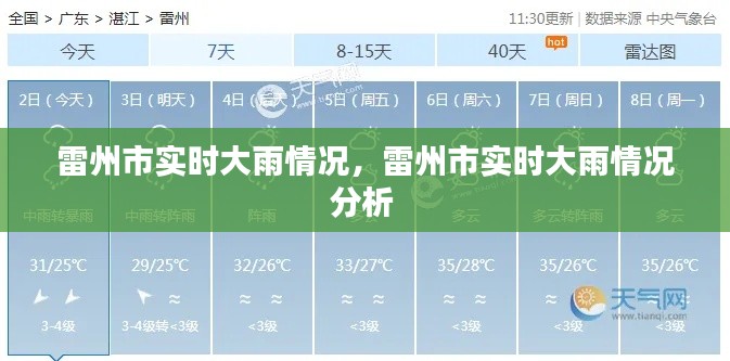 雷州市实时大雨情况，雷州市实时大雨情况分析 