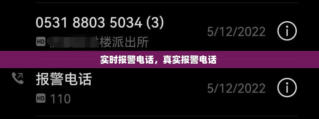 实时报警电话，真实报警电话 