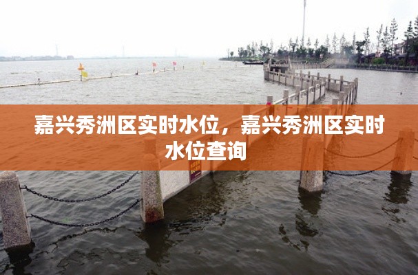 嘉兴秀洲区实时水位，嘉兴秀洲区实时水位查询 