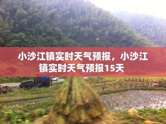 小沙江镇实时天气预报，小沙江镇实时天气预报15天 