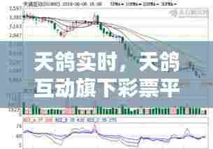 天鸽实时,天鸽互动旗下彩票平台