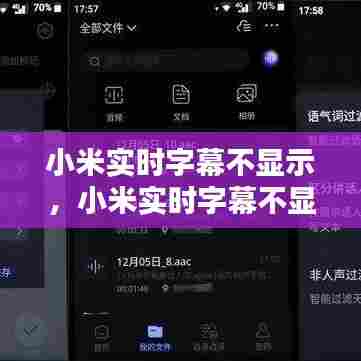 小米实时字幕不显示,小米实时字幕不显示怎么办