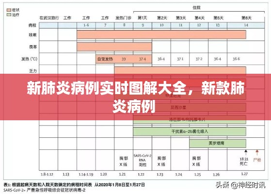 新肺炎病例实时图解大全，新款肺炎病例 