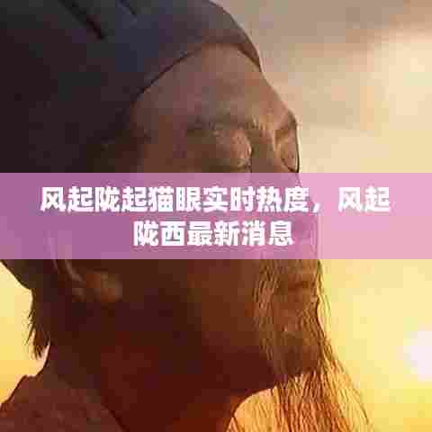 风起陇起猫眼实时热度,风起陇西最新消息