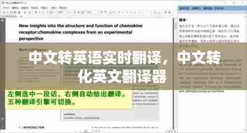 中文转英语实时翻译，中文转化英文翻译器 