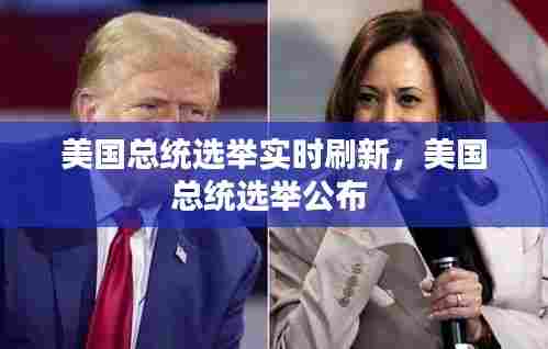 美国总统选举实时刷新,美国总统选举公布