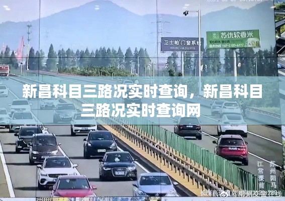 新昌科目三路况实时查询，新昌科目三路况实时查询网 