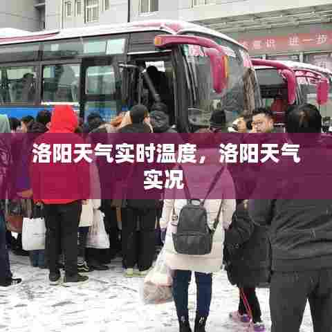 洛阳天气实时温度,洛阳天气实况