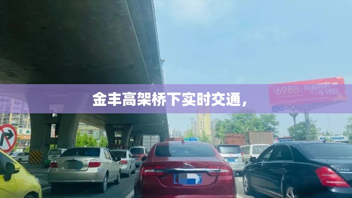 金丰高架桥下实时交通， 