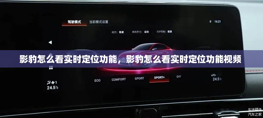 影豹怎么看实时定位功能，影豹怎么看实时定位功能视频 