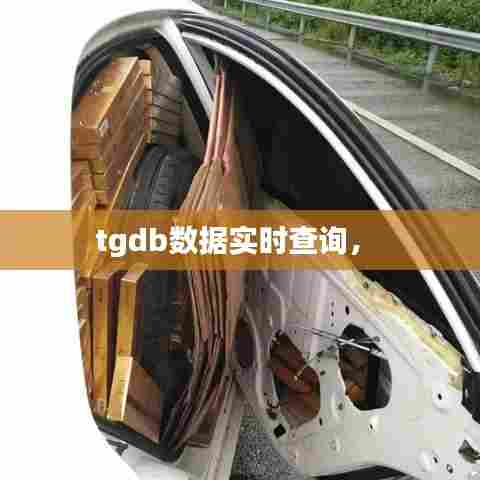 tgdb数据实时查询， 