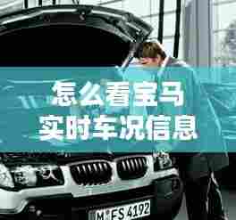 怎么看宝马实时车况信息，怎么看宝马实时车况信息查询 
