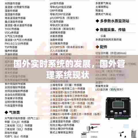 国外实时系统的发展，国外管理系统现状 