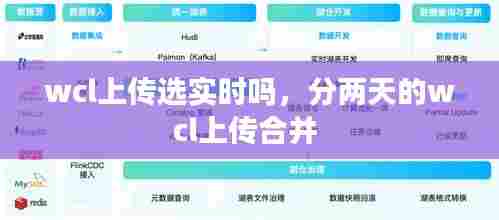 wcl上传选实时吗,分两天的wcl上传合并