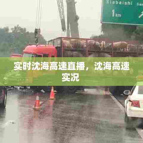 实时沈海高速直播，沈海高速实况 
