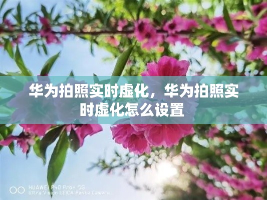 华为拍照实时虚化,华为拍照实时虚化怎么设置