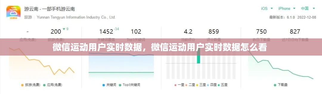 微信运动用户实时数据，微信运动用户实时数据怎么看 