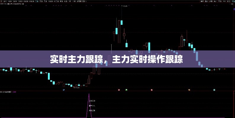 实时主力跟踪，主力实时操作跟踪 