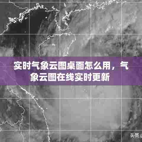 贵农贱商 第7页