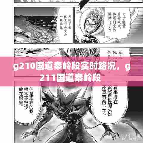 g210国道秦岭段实时路况，g211国道秦岭段 