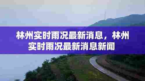 林州实时雨况最新消息，林州实时雨况最新消息新闻 