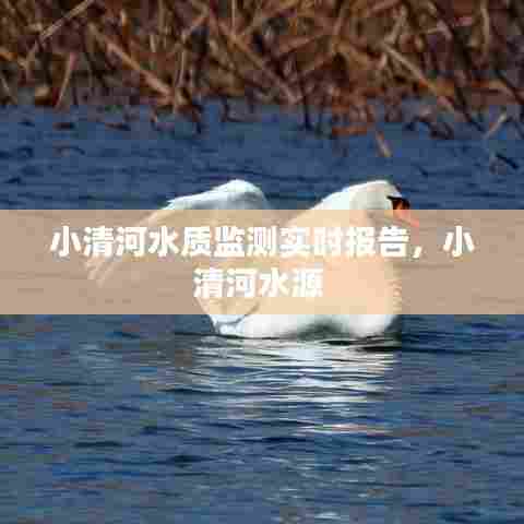 小清河水质监测实时报告，小清河水源 