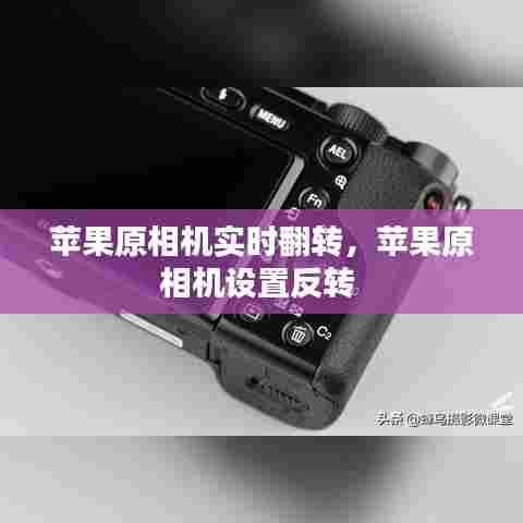苹果原相机实时翻转,苹果原相机设置反转
