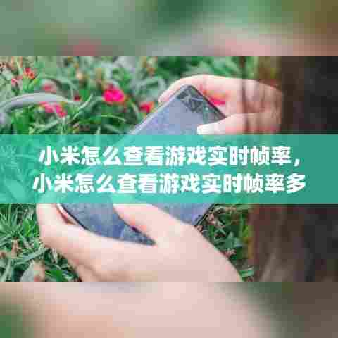 小米怎么查看游戏实时帧率，小米怎么查看游戏实时帧率多少 